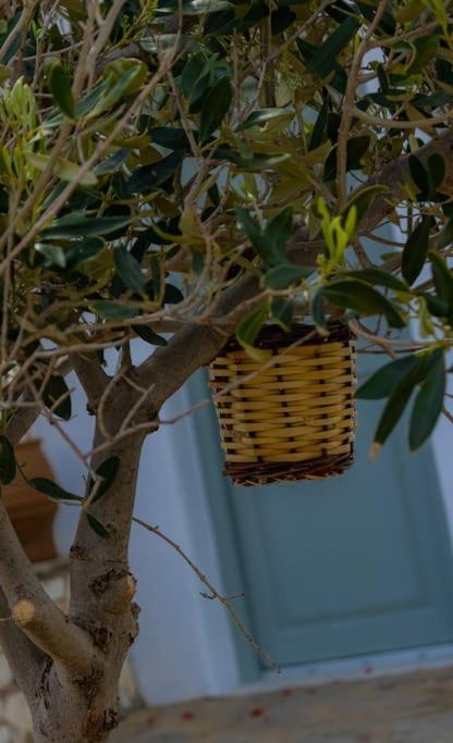 Martha's Filoxenia Apartment Drios