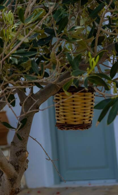 Martha's Filoxenia Apartment Drios
